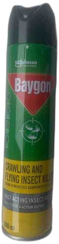Baygon Crawling and Flying Insect Killer - 300ml